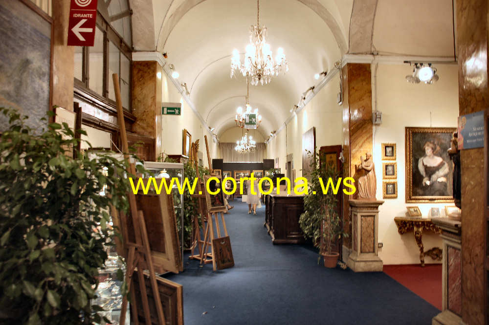 Cortonantiquaria